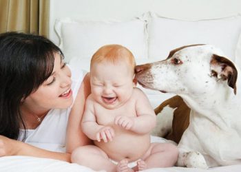 Chuyện nhà tôi: Bảng xếp hạng lộn ngược