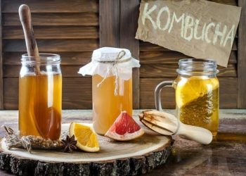 Bạn biết gì về SCOBY của "Thuốc tiên bất tử"trà Kombucha? 1