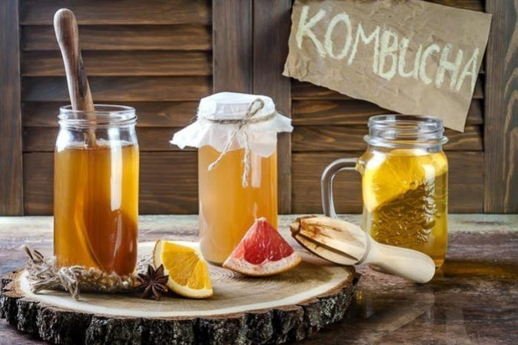 Bạn biết gì về SCOBY của "Thuốc tiên bất tử"trà Kombucha? 1