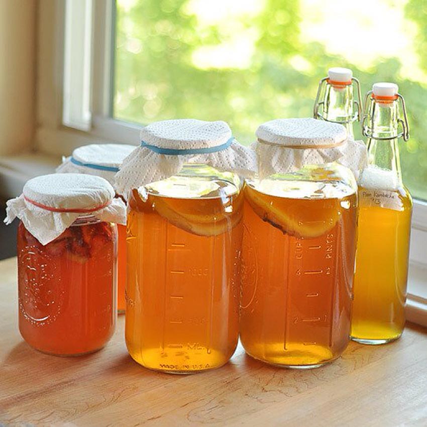 Bạn biết gì về SCOBY của "Thuốc tiên bất tử"trà Kombucha? 2