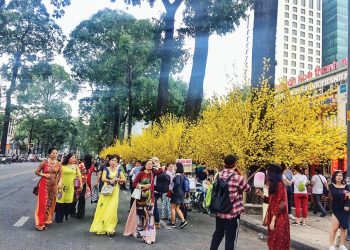 Chuyện nhà tôi: Vét chuyện tết