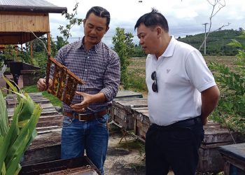 Trang trại kiểu mới khai thác tốt lợi thế du lịch của Đà Lạt