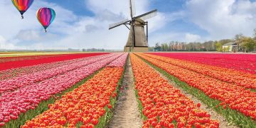 Du lịch châu Âu dự lễ hội hoa xuân rực rỡ