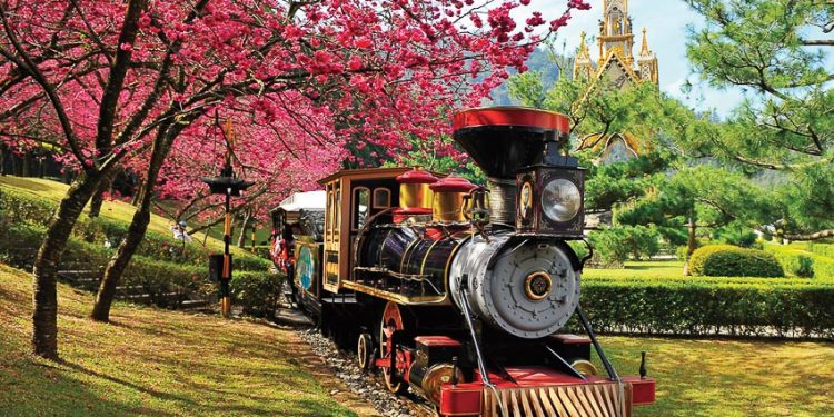 Rực rỡ mùa hoa anh đào