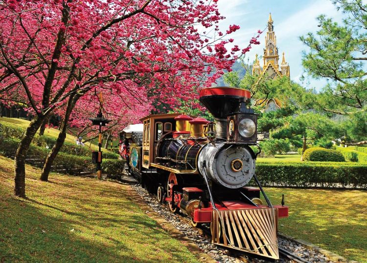 Rực rỡ mùa hoa anh đào