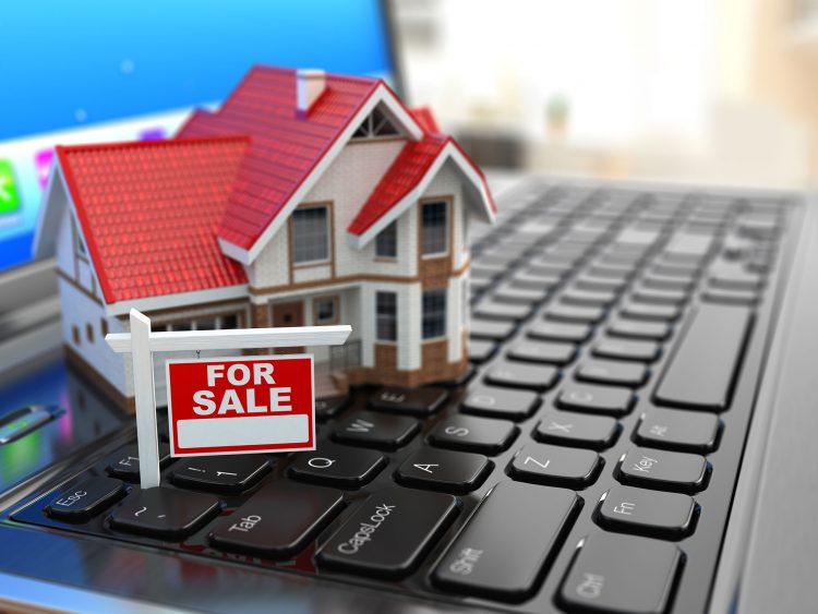 Thêm nhiều doanh nghiệp đầu tư vào môi giới bất động sản online - 01