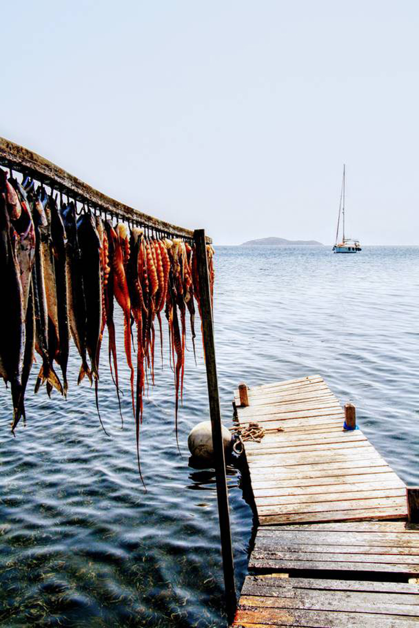 Phơi bạch tuộc ở Skiathos, Hi Lạp - Ảnh: David Fargher