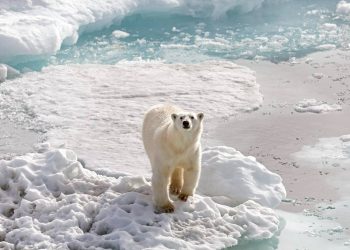 15 ảnh du lịch ấn tượng của National Geographic 8