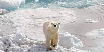 15 ảnh du lịch ấn tượng của National Geographic 8