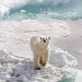 15 ảnh du lịch ấn tượng của National Geographic 8