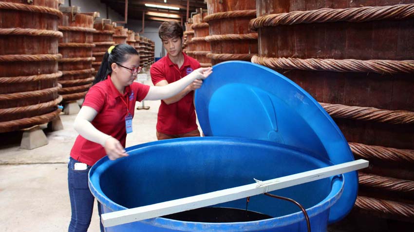 Nhân viên nhà thùng nước mắm truyền thống Phú Quốc kiểm tra nước mắm thành phẩm trước khi đóng chai - Ảnh: DUY KHÁNH
