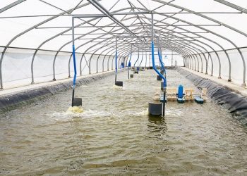 Neovia Việt Nam ra mắt kênh tư vấn trực tuyến cho người chăn nuôi