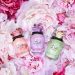 nước hoa Dolce Peony Eau De Parfum 1