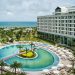 Radisson Blu Phú Quốc xây dựng trang trại trồng tre đầu tiên tại Việt Nam 4
