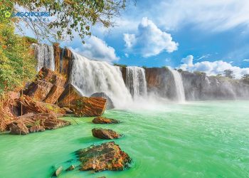 Du lịch hoa và lễ hội cà phê