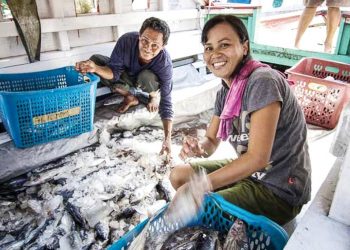 Người dân ở ngôi làng Papusungan trên đảo Lembeh (Indonesia) được IFAD hướng dẫn bảo quản và chế biến hải sản