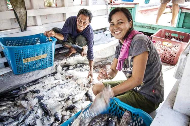 Người dân ở ngôi làng Papusungan trên đảo Lembeh (Indonesia) được IFAD hướng dẫn bảo quản và chế biến hải sản