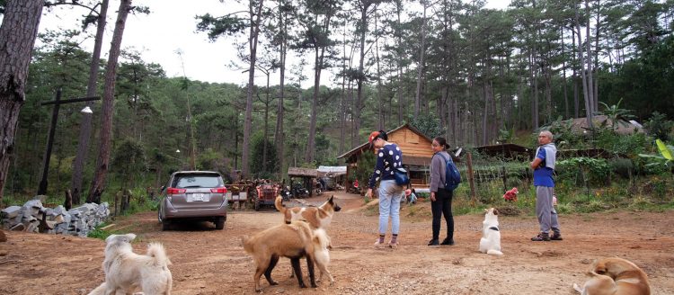 Ngay khi vừa mới đến, mọi thứ đã tạo cho bạn cảm giác thân thiện và gần gũi như khi trở về nhà