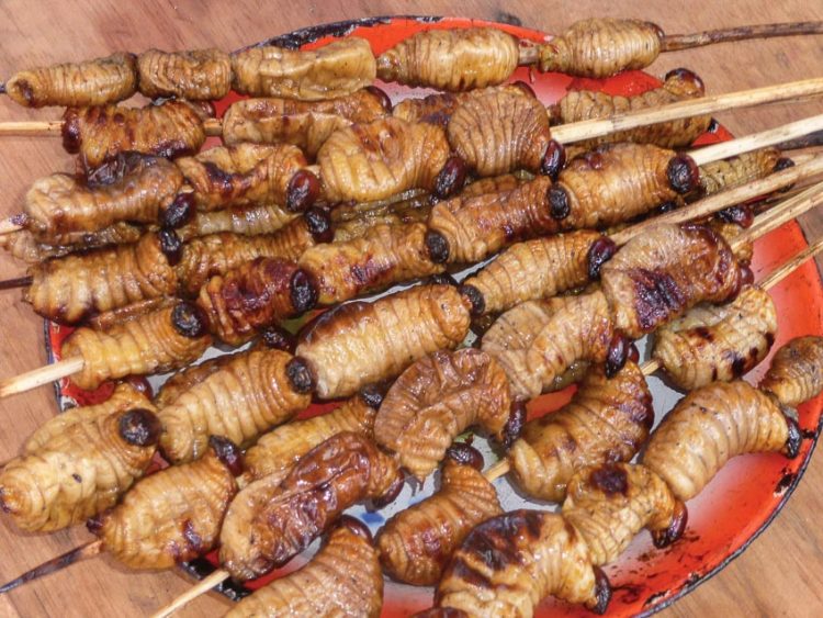Đuông dừa nướng bếp than