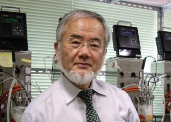 Nhà khoa học Nhật Bản chỉ cách làm chậm lão hóa, kéo dài tuổi thọ