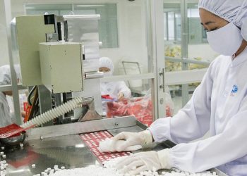 Cổ phiếu của Công ty Dược Hậu Giang bứt phá ngay sau Tết Kỷ Hợi