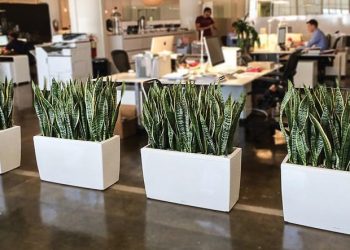 “Dễ thở hơn”để làm việc hiệu quả