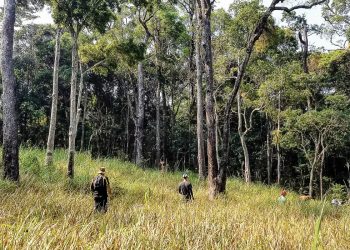 Thác Cam - Trảng Cỏ, hành trình xuyên rừng Bác Ái