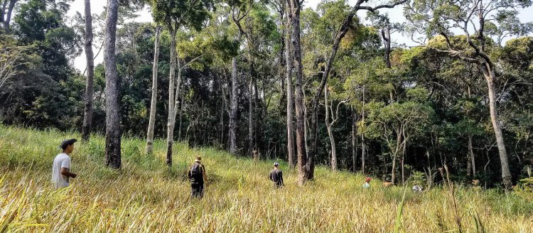 Thác Cam - Trảng Cỏ, hành trình xuyên rừng Bác Ái