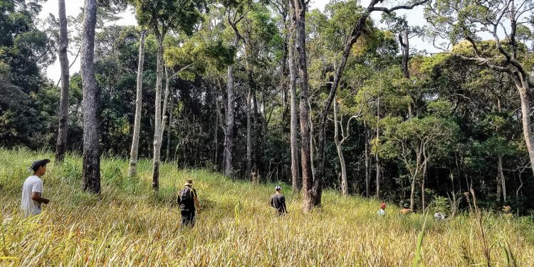 Thác Cam - Trảng Cỏ, hành trình xuyên rừng Bác Ái