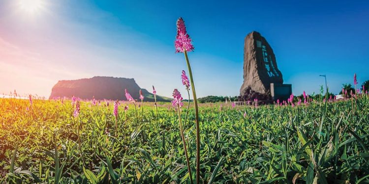 Hấp dẫn tour charter Hàn Quốc miễn visa