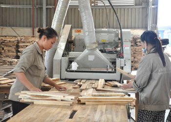 Chế biến gỗ thanh xuất khẩu tại Nhà máy Chế biến gỗ sâu xã Tân Bình