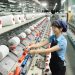 Dệt may Việt Nam nhận diện thách thức mới từ CPTPP