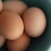 Bí quyết ngăn chặn bệnh tiểu đường 2