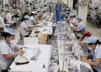 Với lộ trình giảm thuế từ 17-18% xuống 0% trong vòng 3 năm sẽ tạo cơ hội lớn cho các doanh nghiệp xuất khẩu của Việt Nam. Ảnh minh họa: TTXVN