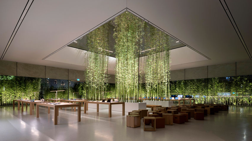 Không gian xanh độc đáo tại cửa hàng Apple ở Macau 5