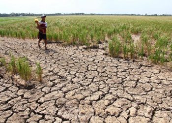 Nghiên cứu của ESCAP và ASEAN cảnh báo mức độ thiệt hại của hạn hán ở Đông Nam Á