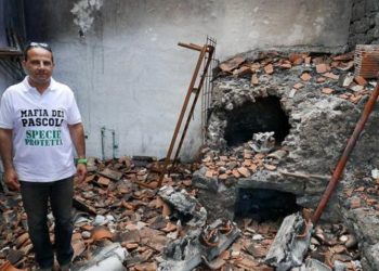 mafia thao túng nông nghiệp Ý 10