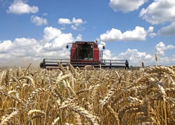 Mỹ thắng Trung Quốc trong vụ kiện nông sản ở WTO 1