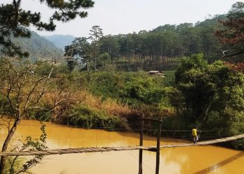 Cầu treo bắc qua dòng La Bá, một chi lưu của sông Đa Nhim 11