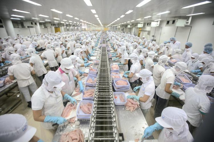 CPTPP bắt đầu phát huy hiệu quả 1