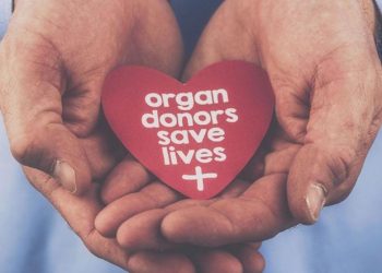 Một tỉnh của Canada đề xuất hiến tạng không cần người hiến đồng ý