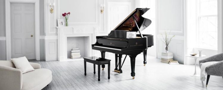 Cây đàn piano - Cung đàn muôn điệu 5
