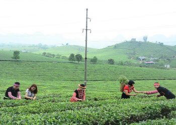 Chùm tour cho khách đi theo nhóm của TST