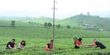 Chùm tour cho khách đi theo nhóm của TST