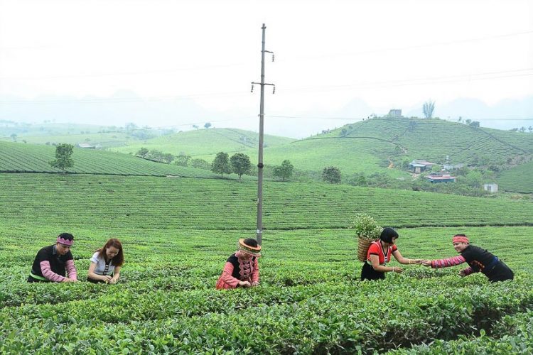 Chùm tour cho khách đi theo nhóm của TST