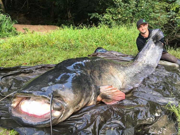 Chuyện lạ đó đây 2