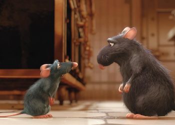 Lão chuột đa tình 1