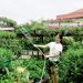 Một góc quê hương