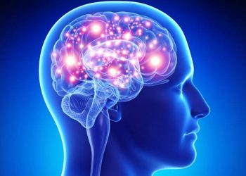 Não người sao lưu hồi ức và duy trì sự sống khi đã chết - 01