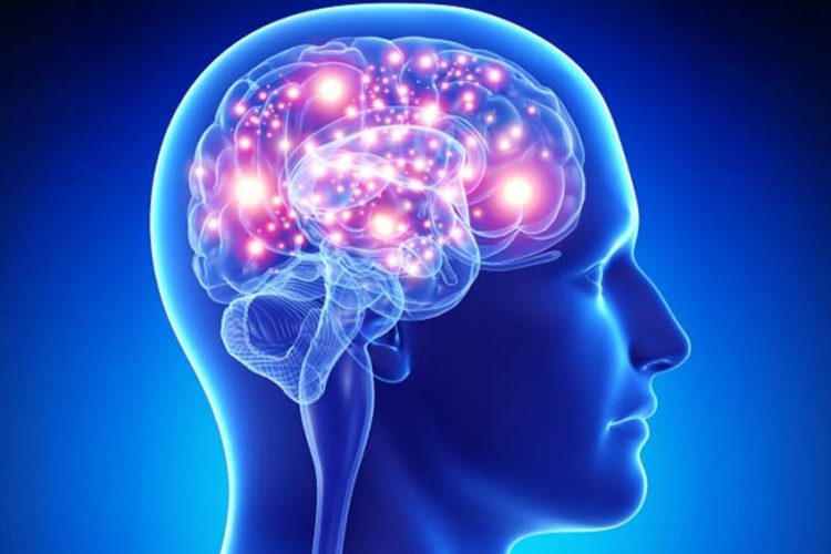 Não người sao lưu hồi ức và duy trì sự sống khi đã chết - 01